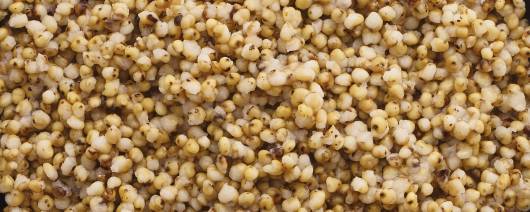 FURMANO'S® Fully Cooked Sorghum banner