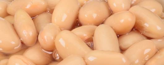 FURMANO'S® White Kidney Beans (Cannellini Beans) banner