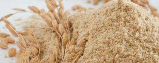 RiceBran Technologies Stabilized Rice Bran - Organic banner