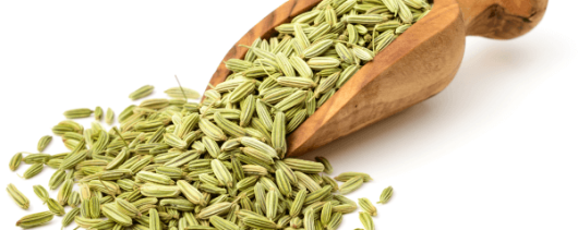 AYALI GROUP Fennel Essential Oil banner