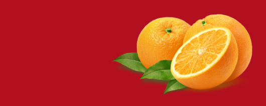 Fruit Derivatives Comminute Aseptic banner
