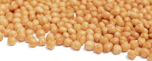 Northside Food Company Chickpeas | Roasted Unsalted banner