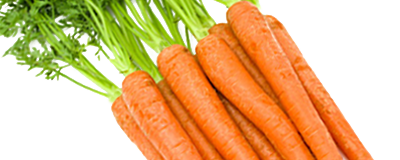 LiquaDry Carrot Juice Powder banner