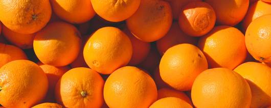 Metarom Group Orange & Tangerine Flavor Natural WONF (MTP00757) banner