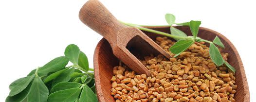 Metarom Group Fenugreek Extract Natural (MTP00752) banner