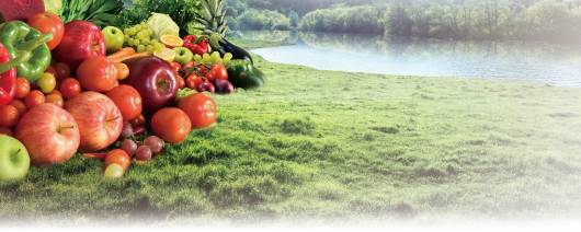 BraziZyme® Fermented Fruits and Vegetables Powder banner