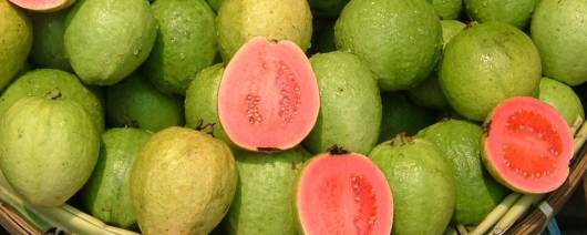 Guava Flavor NAT WONF SD (107130) banner