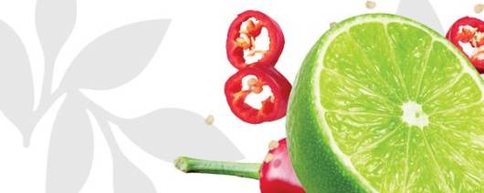 Flavor Producers Natural Chili Lime Flavor WONF (ELF1174) banner