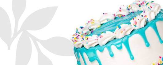 Flavor Producers Natural Flavor Blend (Vanilla Birthday Cake Style) Powder (ELF1115) banner