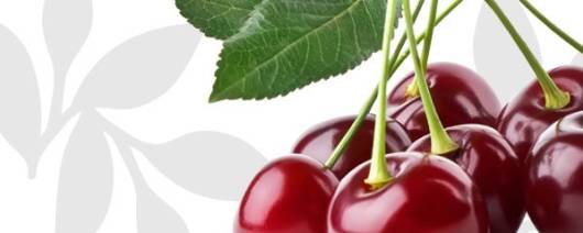 Flavor Producers Natural Cherry Flavor WONF (ELF1175) banner