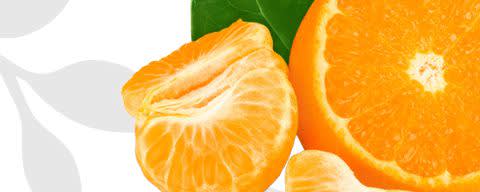 Flavor Producers Natural Tangerine Powder Flavor WONF (ELF1083) banner