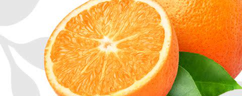 Flavor Producers Natural Orange Flavor WONF Powder (ELF1057) banner