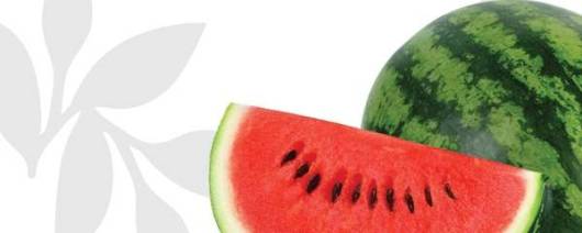Flavor Producers Natural Watermelon Flavor WONF (ELF1172) banner