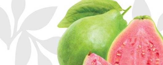 Flavor Producers Organic Flavor Blend (Guava Type) (≥95% Organic Content) (ELF1024) banner