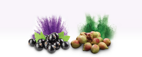 Orai™ KF (Organic Kiwi Fruit Active Enzyme Powder) banner