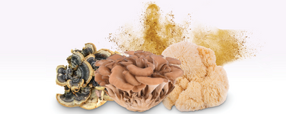 OrMiū™ Focus (Organic Functional Mushroom Blend for Natural Focus >20% B-Glucan) banner