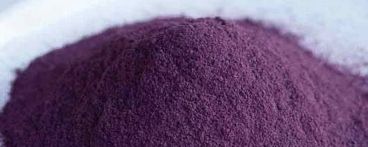 Purple Fit Saskatoon Berry Powder banner