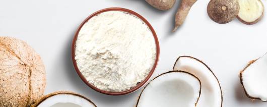 LipoSMART® Coconut Oil Powder 65% - Tapioca Fiber banner