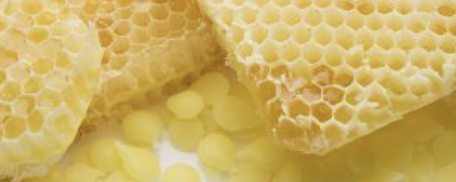 Henry Lamotte Oils GmbH Bee Wax banner
