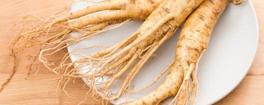 GINSENG EXTRACT banner