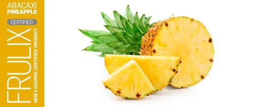FRULIX ABACAXI (PINEAPPLE) banner