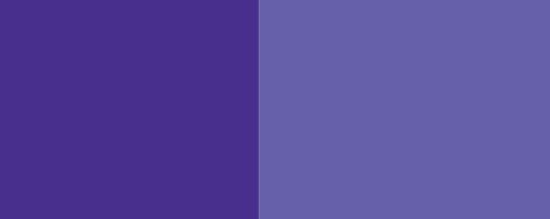 FCF Colorfast Liquid Dyes Brilliant Purple (D26068WS) banner