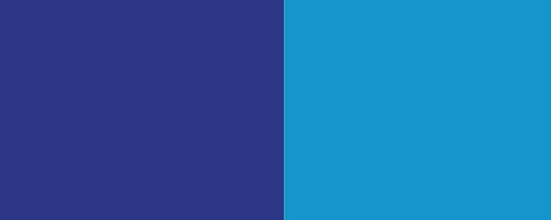 FCF Colorfast Liquid Dyes Vivid Blue (D25995WS) banner