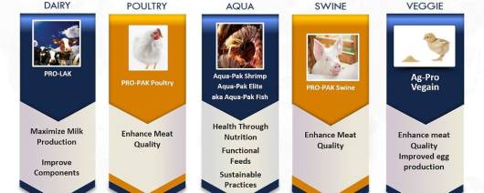 Aqua-Pak™ Fish banner