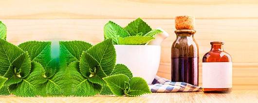 Bio-Botanica Catnip Herb In Glycerin banner