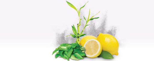 RGen™ FA (Citrus Lemon Extract >5% Natural Folic Acid) banner