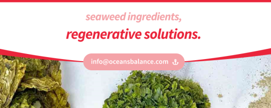 Ocean's Balance Organic Dulse Seaweed - Flakes banner