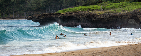 AFI Compare to Aroma Hawaiian Aloha by Febreze® F20145 banner