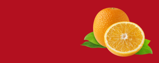 Flavonoid Citrus Bioflavonoids Complex sol banner
