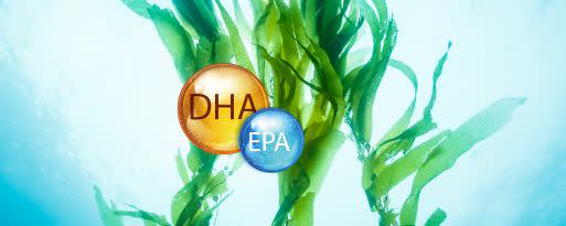 VegMEGA™ DHA>6% + EPA>3% Vegan Algae Oil Powder banner