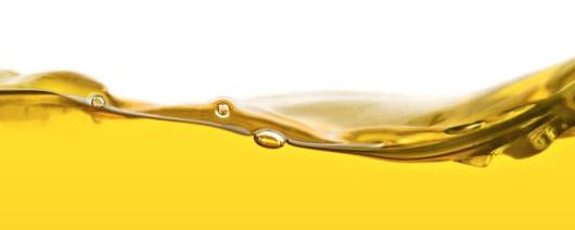 Cottonseed Oil Winterized banner