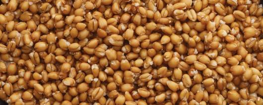 FURMANO'S® Fully Cooked Farro banner