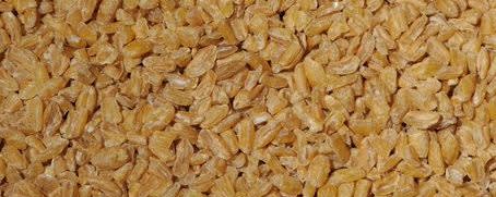Sunnyland Mills #5 Half Cut Traditional Whole Grain Bulgur Wheat banner