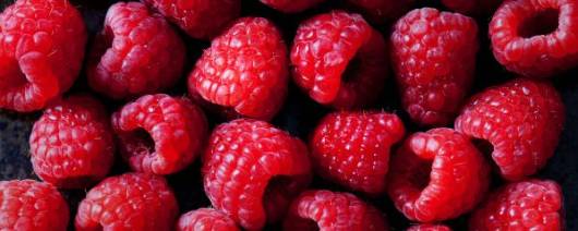 Aseptic Raspberry Purée banner