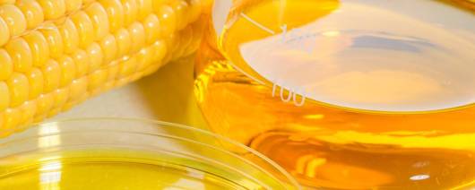 FiberSMART® Organic Soluble Corn Fiber Syrup banner