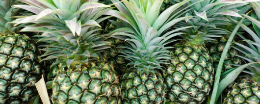 Sensapure Flavors Green Pineapple Natural Type Flavor WS (7237089) banner