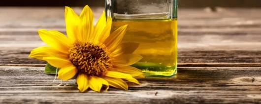 Crude Organic Sunflower Oil banner