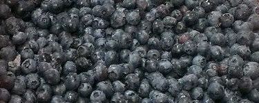 Cherry Central Frozen Blueberries, Cultivated (FP02--07) banner