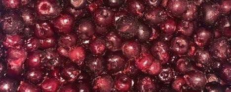 Cherry Central IQF Dark Sweet Pitted Cherries (FP04-06) banner