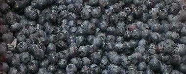 Cherry Central Frozen Blueberries, Cultivated- Sized 1/2” and Under (FP02-78) banner