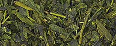 Sugimoto Tea Organic Bancha banner