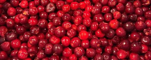 Cherry Central Montmorency Red Sour Cherries - IQF (FP07-100) banner