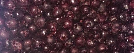 Cherry Central IQF Dark Sweet Pitted Cherries - Grade B (FP04-31) banner