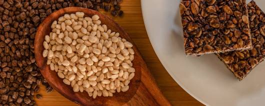 PGP International Soy Protein Disk (660 IP) banner