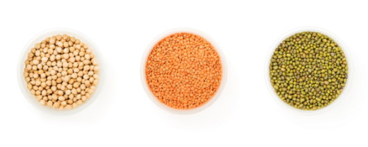 Ardent Mills Whole Chickpeas banner