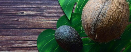 AFI Compare to Aroma Avocado Coconut by BBW® F32153 banner